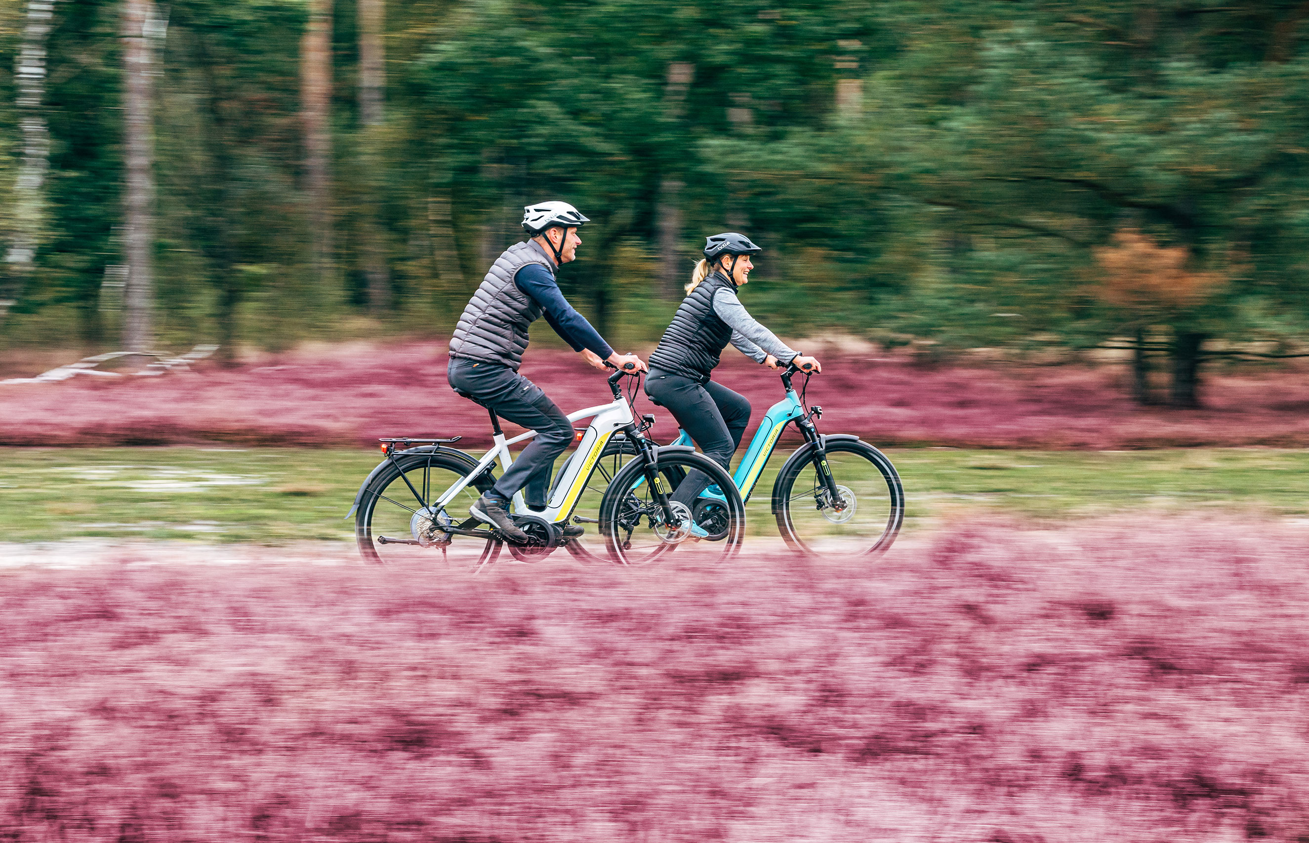 E-Bikes von Victoria in Saarbrücken kaufen